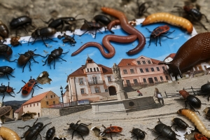 Arogance na úřadech v Nepomuku