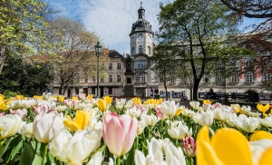 Když přijde dopis, který nečekáte a potěší